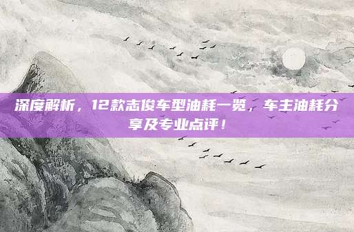 深度解析，12款志俊车型油耗一览，车主油耗分享及专业点评！