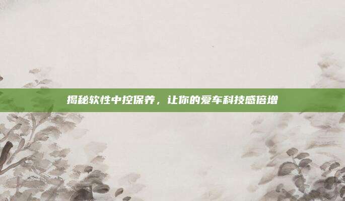 揭秘软性中控保养，让你的爱车科技感倍增