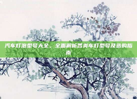 汽车灯泡型号大全，全面解析各类车灯型号及选购指南