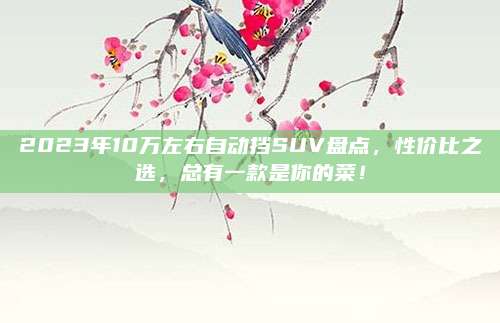 2023年10万左右自动挡SUV盘点,性价比之选,总有一款是你的菜!