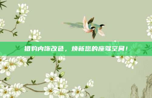 猎豹内饰改色，焕新您的座驾空间！