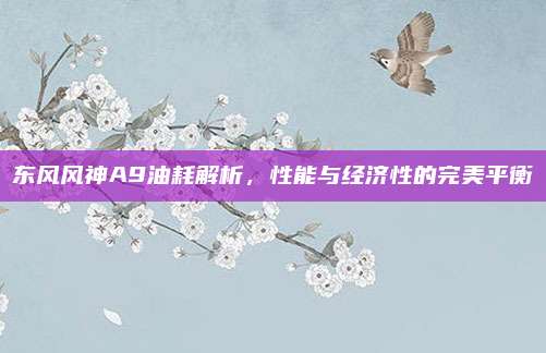 东风风神A9油耗解析，性能与经济性的完美平衡