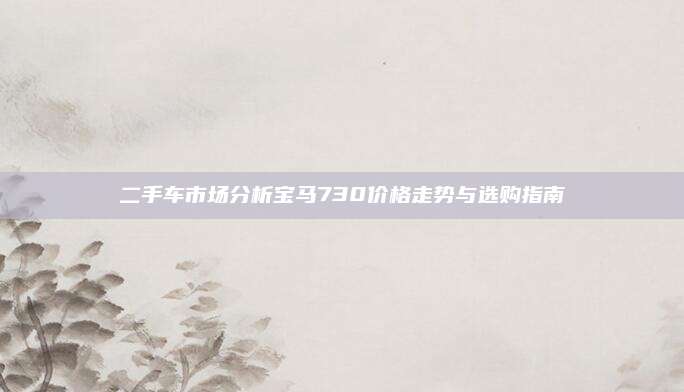 二手车市场分析宝马730价格走势与选购指南