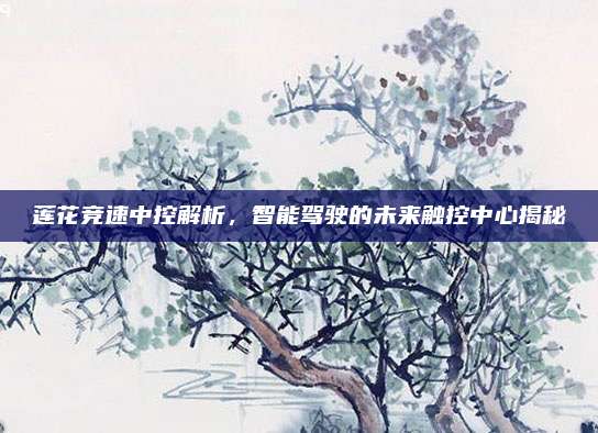 莲花竞速中控解析，智能驾驶的未来触控中心揭秘