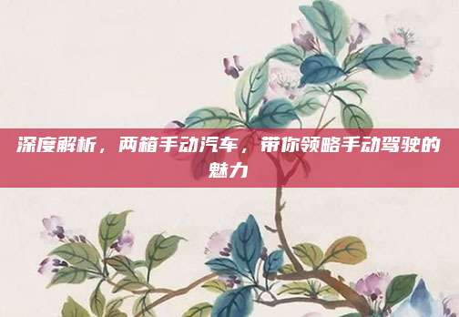 深度解析,两箱手动汽车,带你领略手动驾驶的魅力