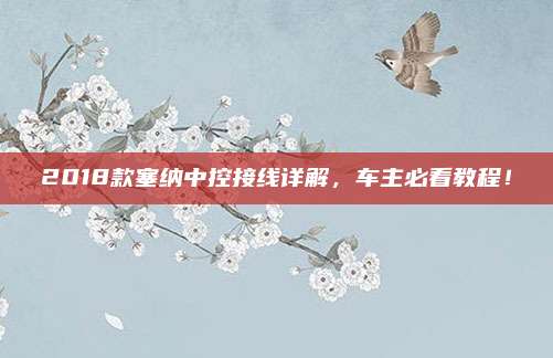 2018款塞纳中控接线详解,车主必看教程!