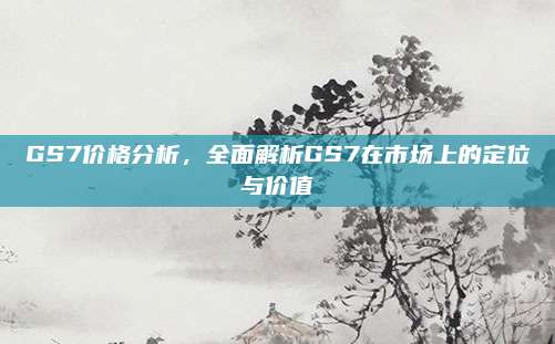 GS7价格分析,全面解析GS7在市场上的定位与价值
