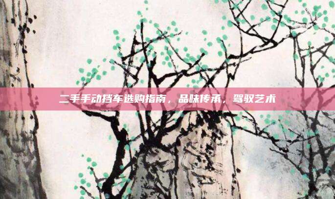二手手动挡车选购指南,品味传承,驾驭艺术