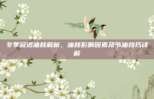 冬季冠道油耗解析,油耗影响因素及节油技巧详解