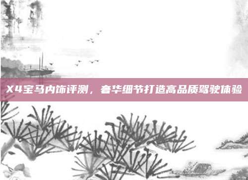 X4宝马内饰评测，奢华细节打造高品质驾驶体验