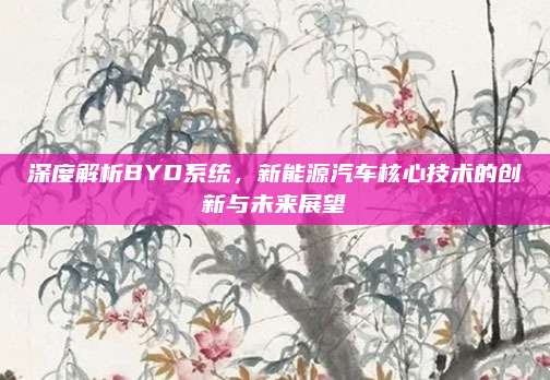深度解析BYD系统,新能源汽车核心技术的创新与未来展望
