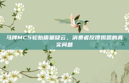 马牌MC5轮胎质量疑云,消费者反馈揭露的真实问题