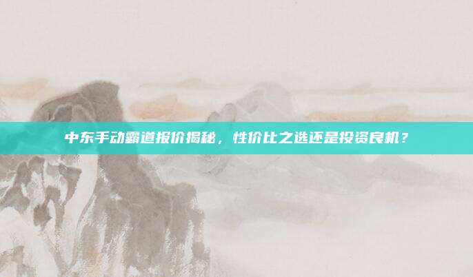 中东手动霸道报价揭秘，性价比之选还是投资良机？