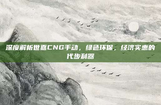 深度解析世嘉CNG手动,绿色环保,经济实惠的代步利器