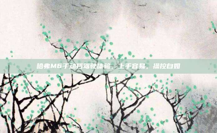 哈弗M6手动挡驾驶体验,上手容易,操控自如
