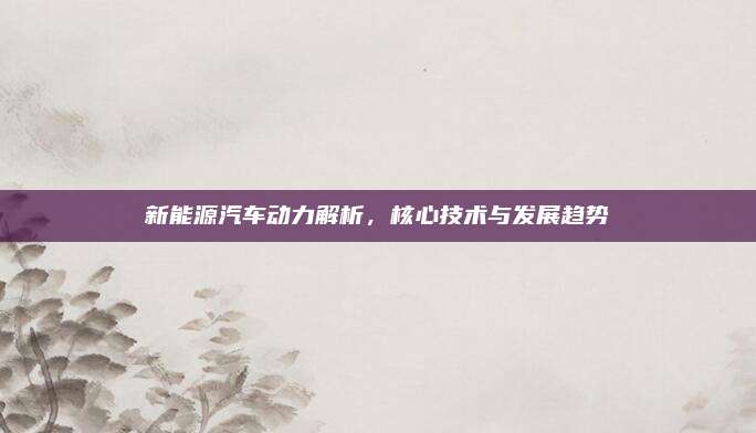 新能源汽车动力解析,核心技术与发展趋势