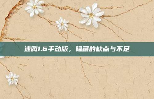 速腾1.6手动版,隐藏的缺点与不足