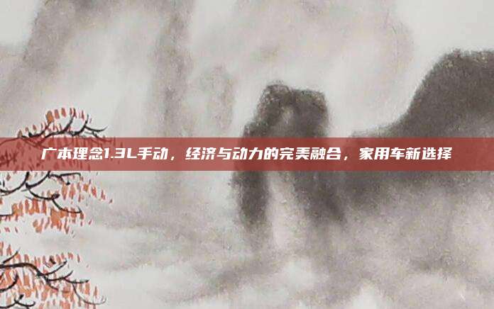 广本理念1.3L手动,经济与动力的完美融合,家用车新选择