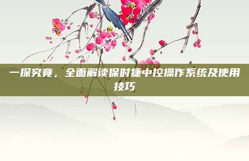 一探究竟,全面解读保时捷中控操作系统及使用技巧