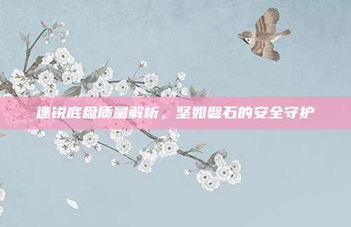 速锐底盘质量解析,坚如磐石的安全守护