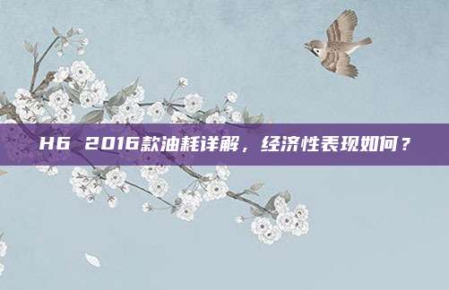 H6 2016款油耗详解,经济性表现如何?