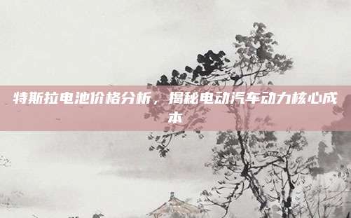 特斯拉电池价格分析,揭秘电动汽车动力核心成本