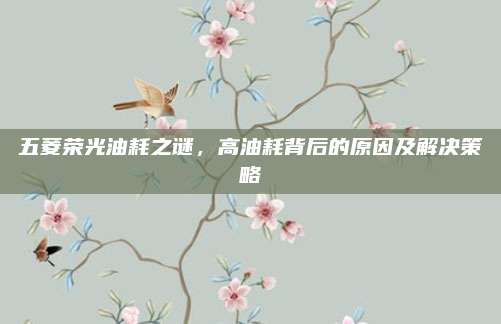 五菱荣光油耗之谜，高油耗背后的原因及解决策略