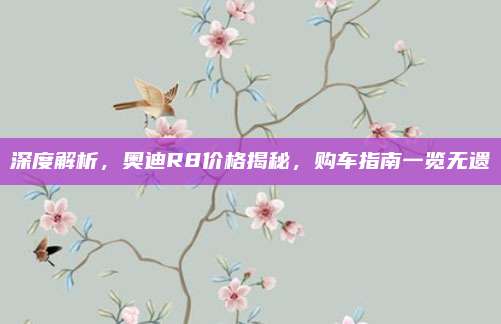 深度解析,奥迪R8价格揭秘,购车指南一览无遗