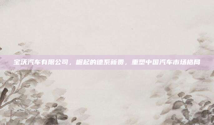 宝沃汽车有限公司，崛起的德系新贵，重塑中国汽车市场格局