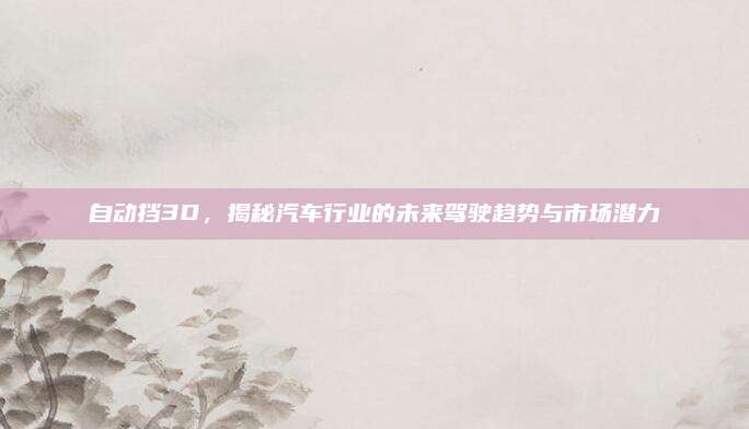 自动挡3D,揭秘汽车行业的未来驾驶趋势与市场潜力