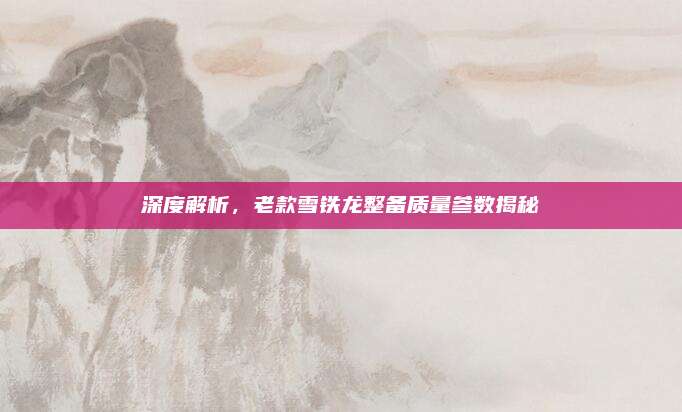 深度解析,老款雪铁龙整备质量参数揭秘