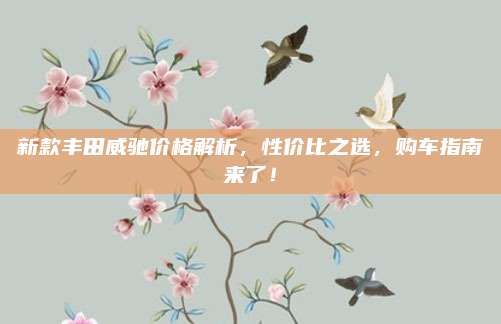 新款丰田威驰价格解析,性价比之选,购车指南来了!