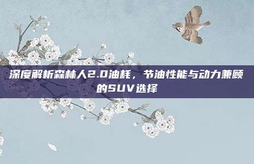 深度解析森林人2.0油耗,节油性能与动力兼顾的SUV选择