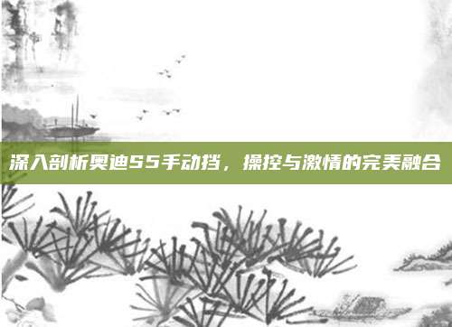 深入剖析奥迪S5手动挡,操控与激情的完美融合