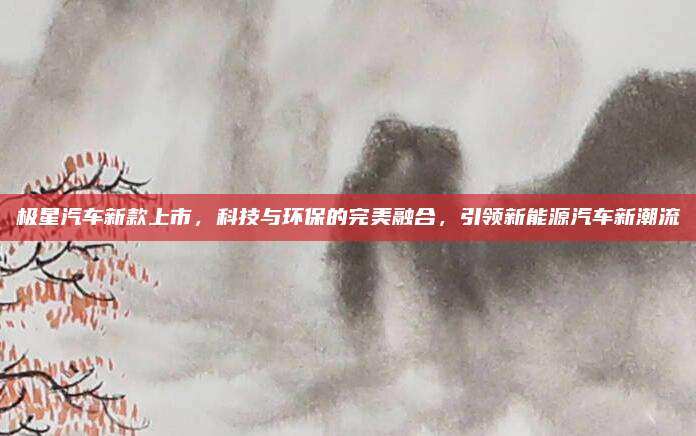 极星汽车新款上市,科技与环保的完美融合,引领新能源汽车新潮流