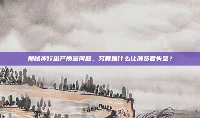 揭秘神行国产质量问题，究竟是什么让消费者失望？