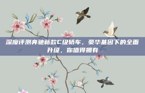 深度评测奔驰新款C级轿车,豪华基因下的全面升级,你值得拥有
