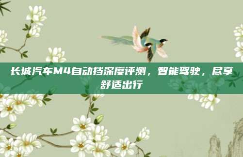 长城汽车M4自动挡深度评测,智能驾驶,尽享舒适出行