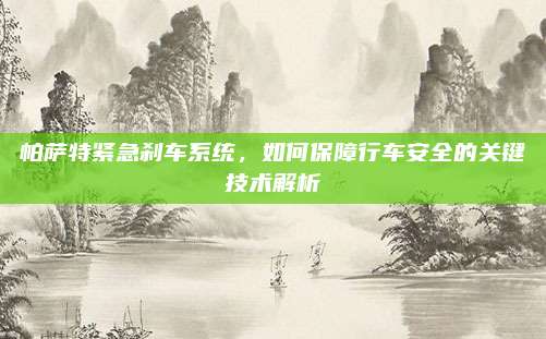 帕萨特紧急刹车系统,如何保障行车安全的关键技术解析