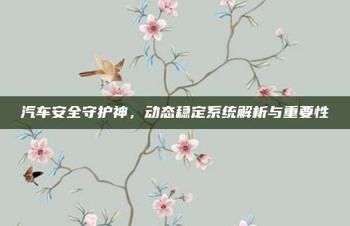汽车安全守护神,动态稳定系统解析与重要性