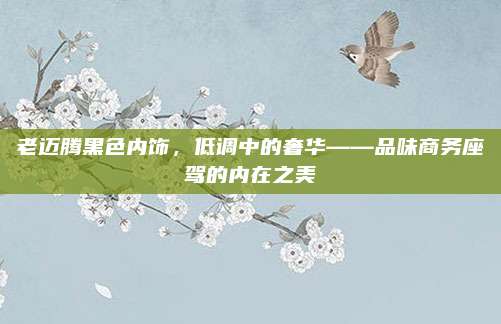 老迈腾黑色内饰,低调中的奢华——品味商务座驾的内在之美