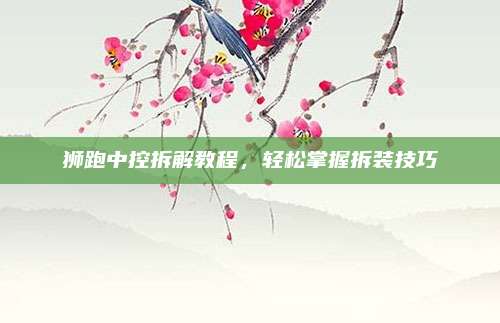 狮跑中控拆解教程,轻松掌握拆装技巧