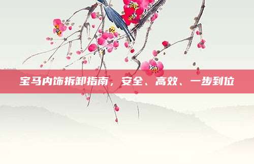 宝马内饰拆卸指南,安全、高效、一步到位