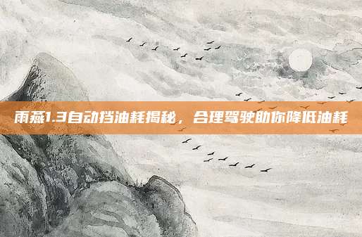 雨燕1.3自动挡油耗揭秘,合理驾驶助你降低油耗