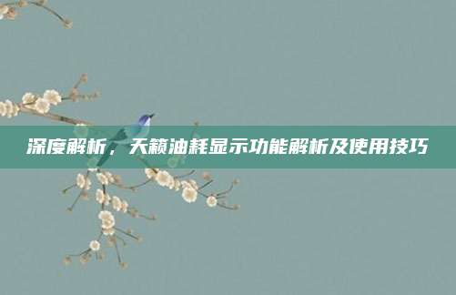 深度解析，天籁油耗显示功能解析及使用技巧