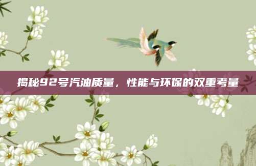 揭秘92号汽油质量,性能与环保的双重考量