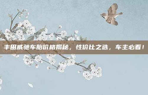 丰田威驰车胎价格揭秘，性价比之选，车主必看！