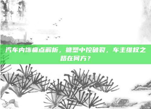 汽车内饰痛点解析,搪塑中控破裂,车主维权之路在何方?