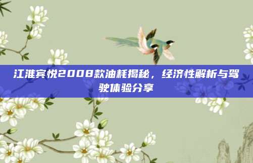 江淮宾悦2008款油耗揭秘，经济性解析与驾驶体验分享