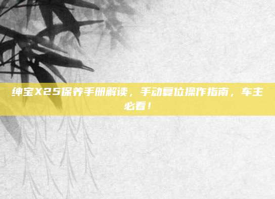 绅宝X25保养手册解读,手动复位操作指南,车主必看!